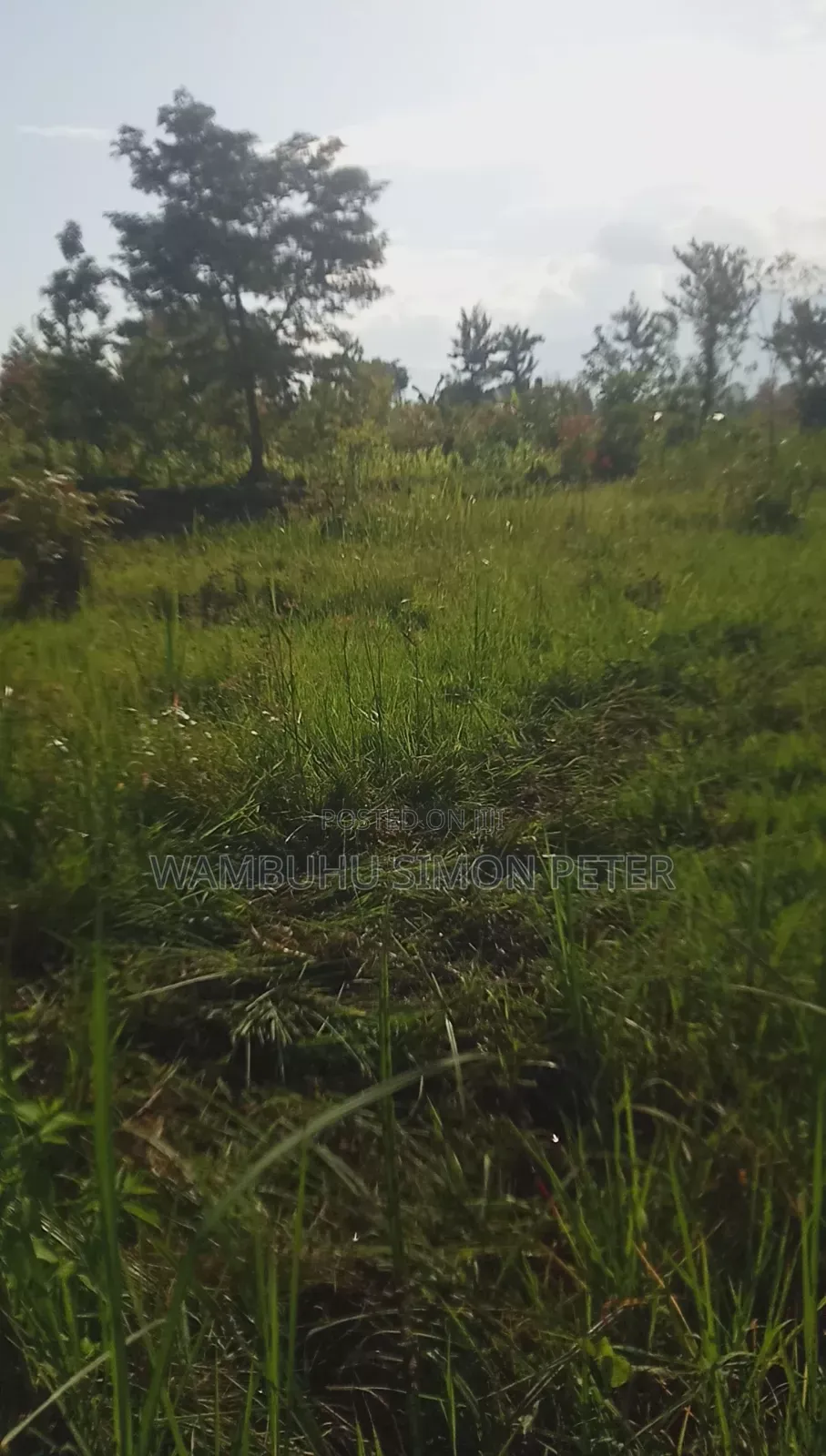 Plot 4 Sale