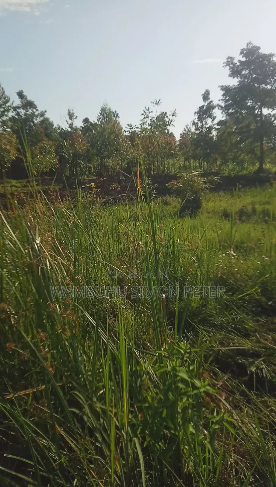 Plot 4 Sale