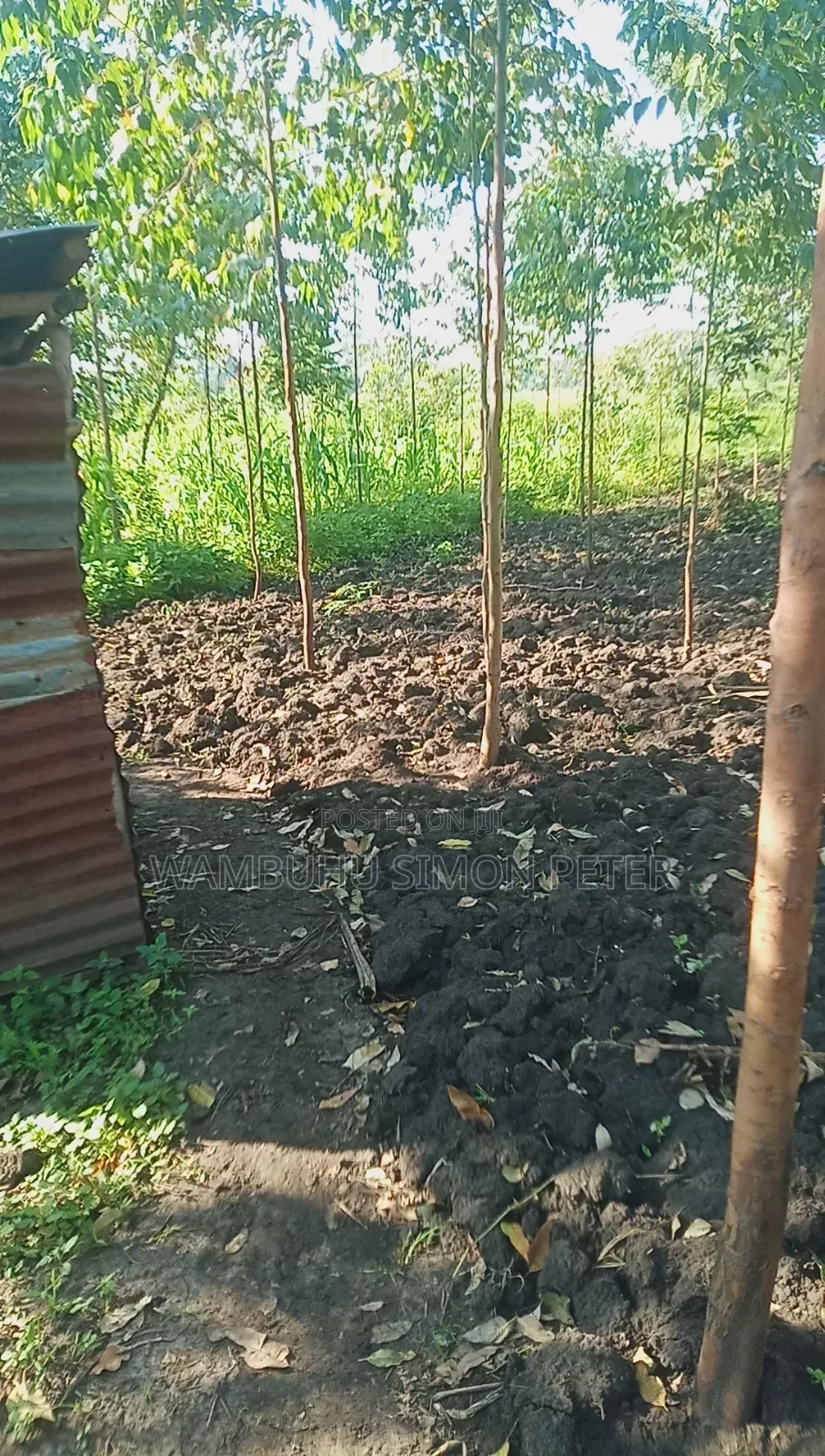 Plot 4 Sale