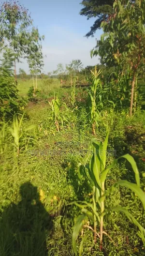 Plot 4 Sale