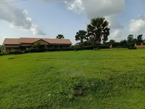 Events Grounds for Hire in Lira