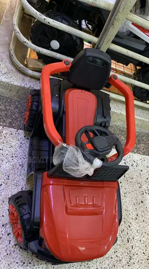 Kids Push Car