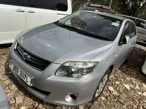 Toyota Corolla Fielder 2010 Silver