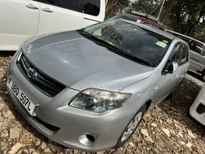 Toyota Corolla Fielder 2010 Silver