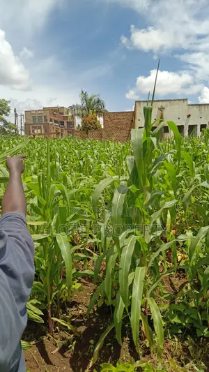 Commercial Plot for Sale in Bweyogerere, 100x100