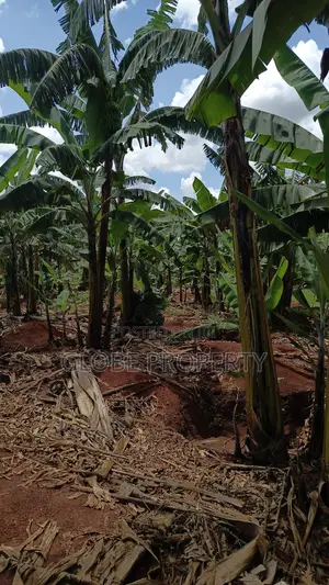 1acre Piece of Land for Sale in Bweyogerere.