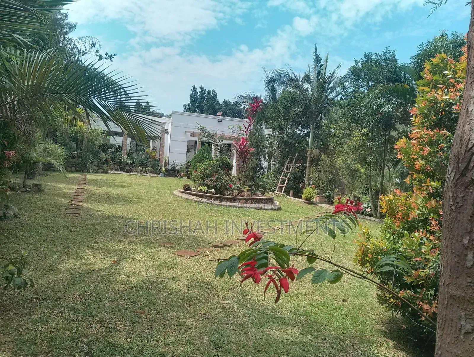 All Cleaning Services