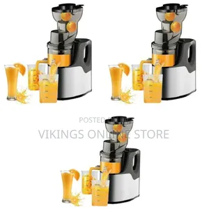 Professional Slow Masticating Juicer and Cold Press Extractor