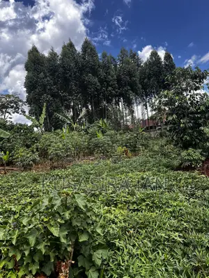 Quick Land for Sale Nakasaja