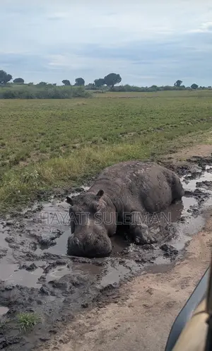 Explore Uganda