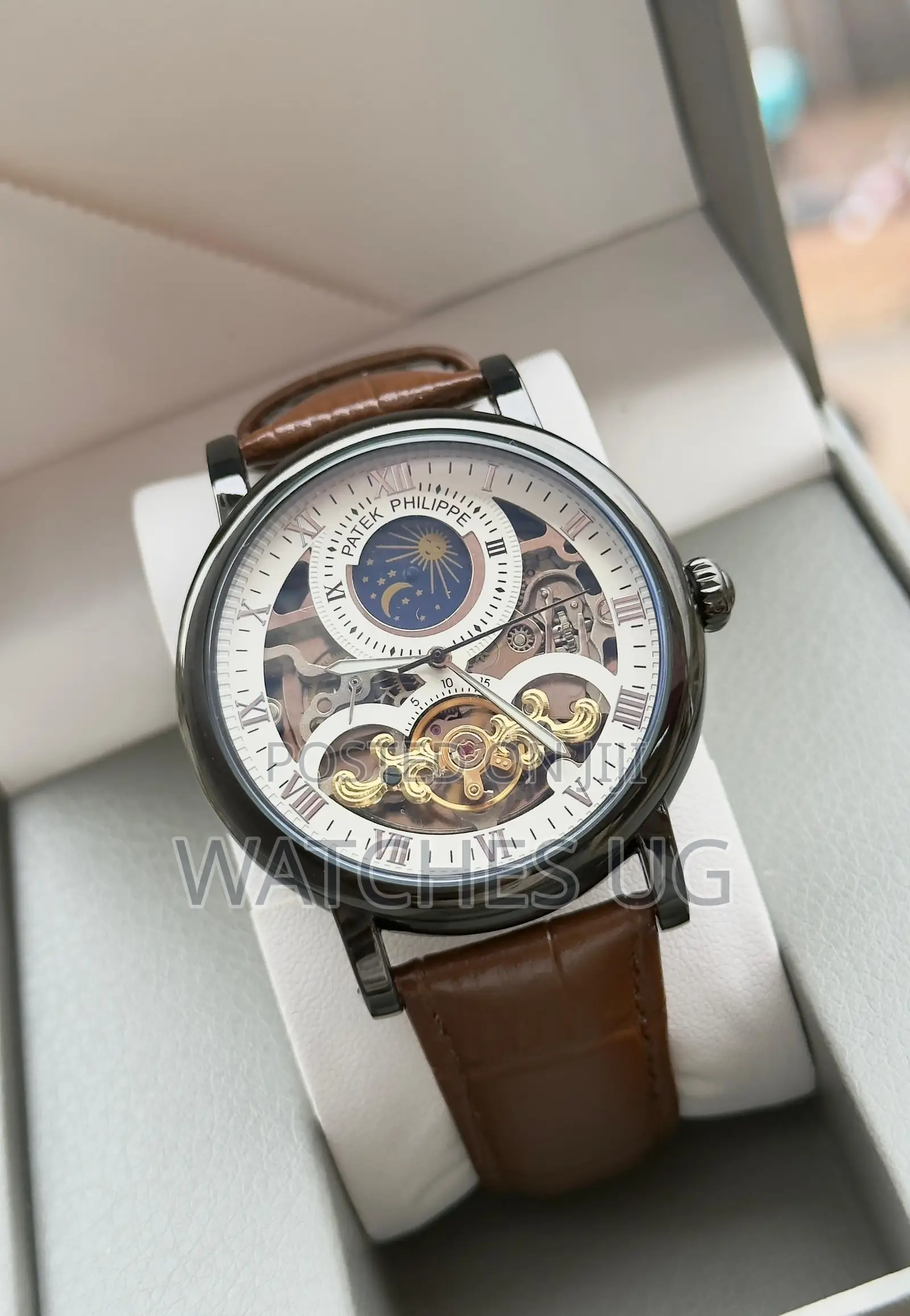 Patek Moon Swatch Watch