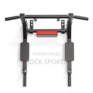Wall Mounted Chin Up Dip Station Pull Up Bar