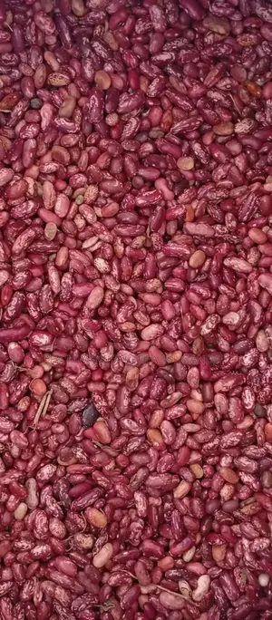 New Season Nambale Beans