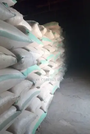 New Season Nambale Beans