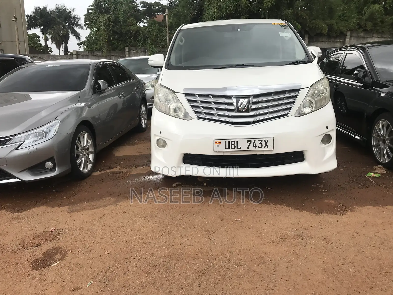 Toyota Alphard 2009 White