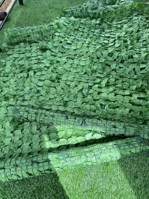 Balcony Plants Per Piece