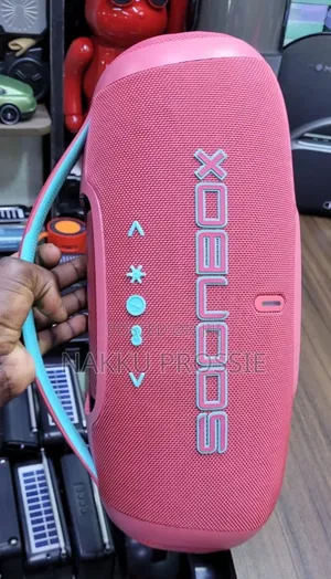 Portable Speaker