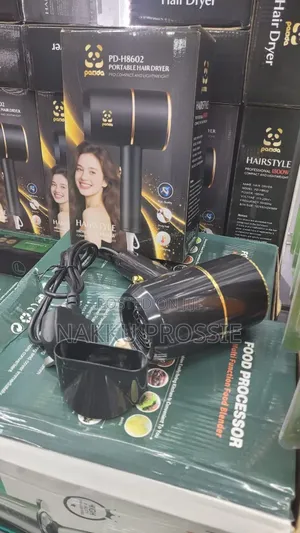 Professional Hair Dryer