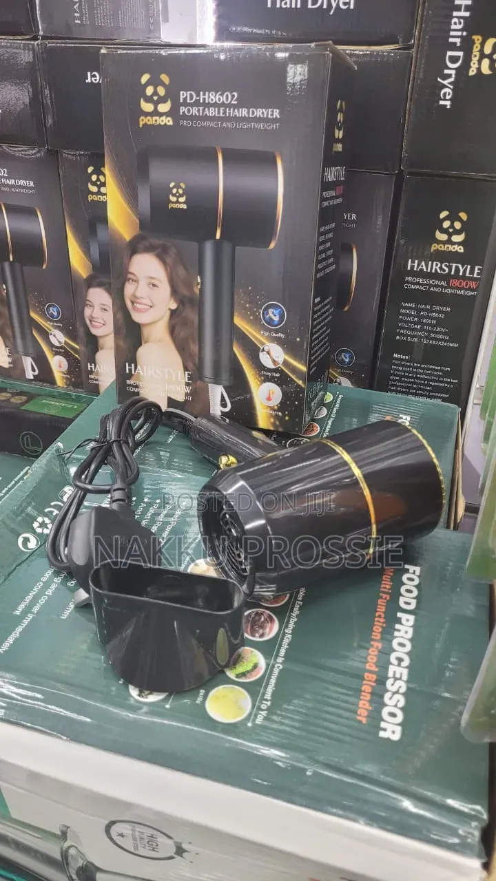 Professional Hair Dryer