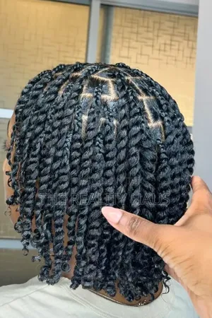 Natural Twists / Protective Hairstyle