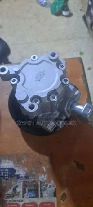 Steering Pump for Ml W163