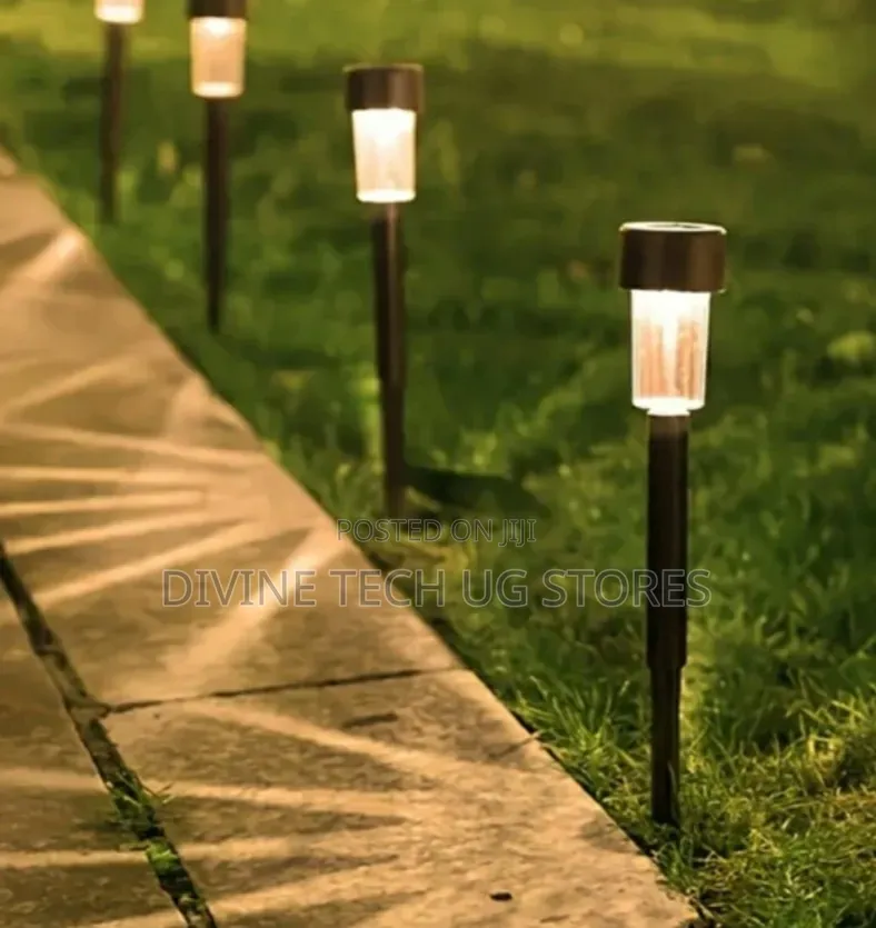 Solar Garden Lights
