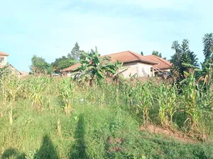 50by50ft Plot for Sale in Gayaza Kiwenda
