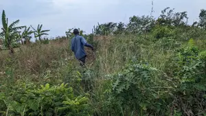 Titled Land for Sale in Kasasa Kibombo Gomba
