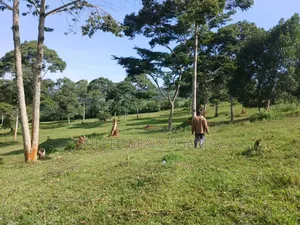 20 Acres of Land for Rent in Gayaza