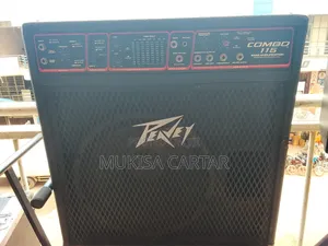 Peavey Combo Bass