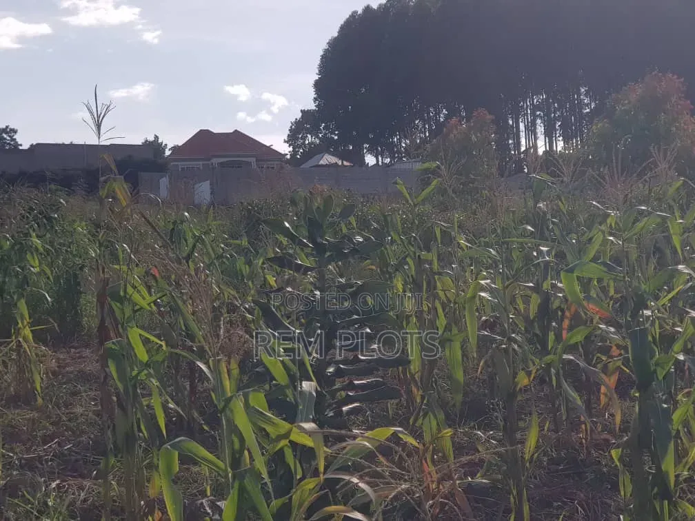 50x100ft Plot at Kakiri Mpegwe