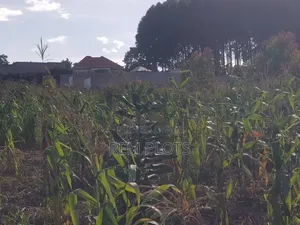 50x100ft Plot at Kakiri Mpegwe