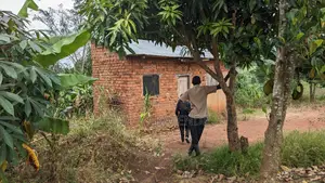 Land for Sale in Kasasa Kibombo (Half Acre) With a Double Room