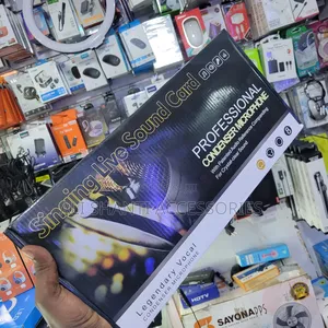 Professional Condenser Microphone