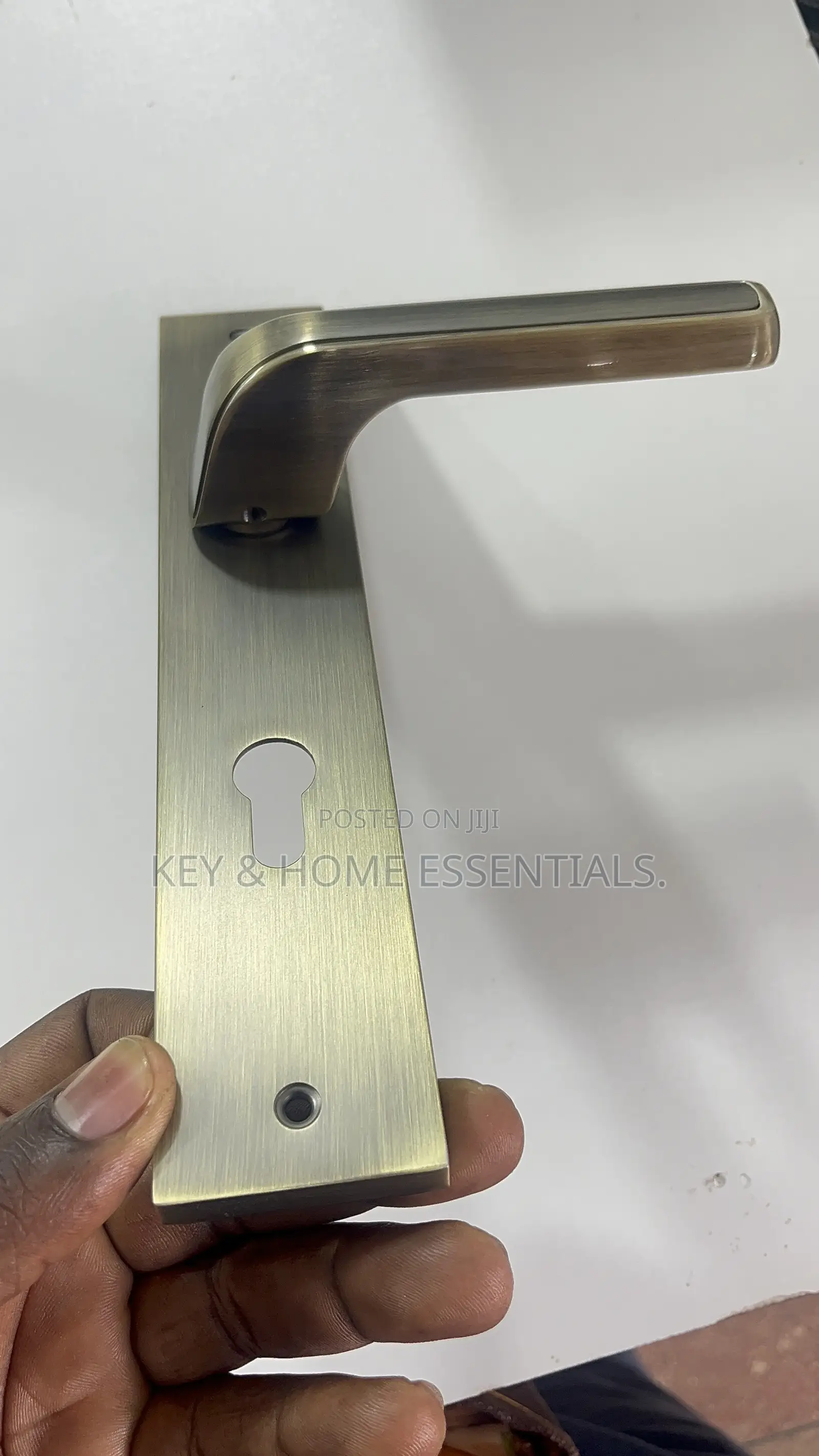 Premium Antique Brass Door Ha