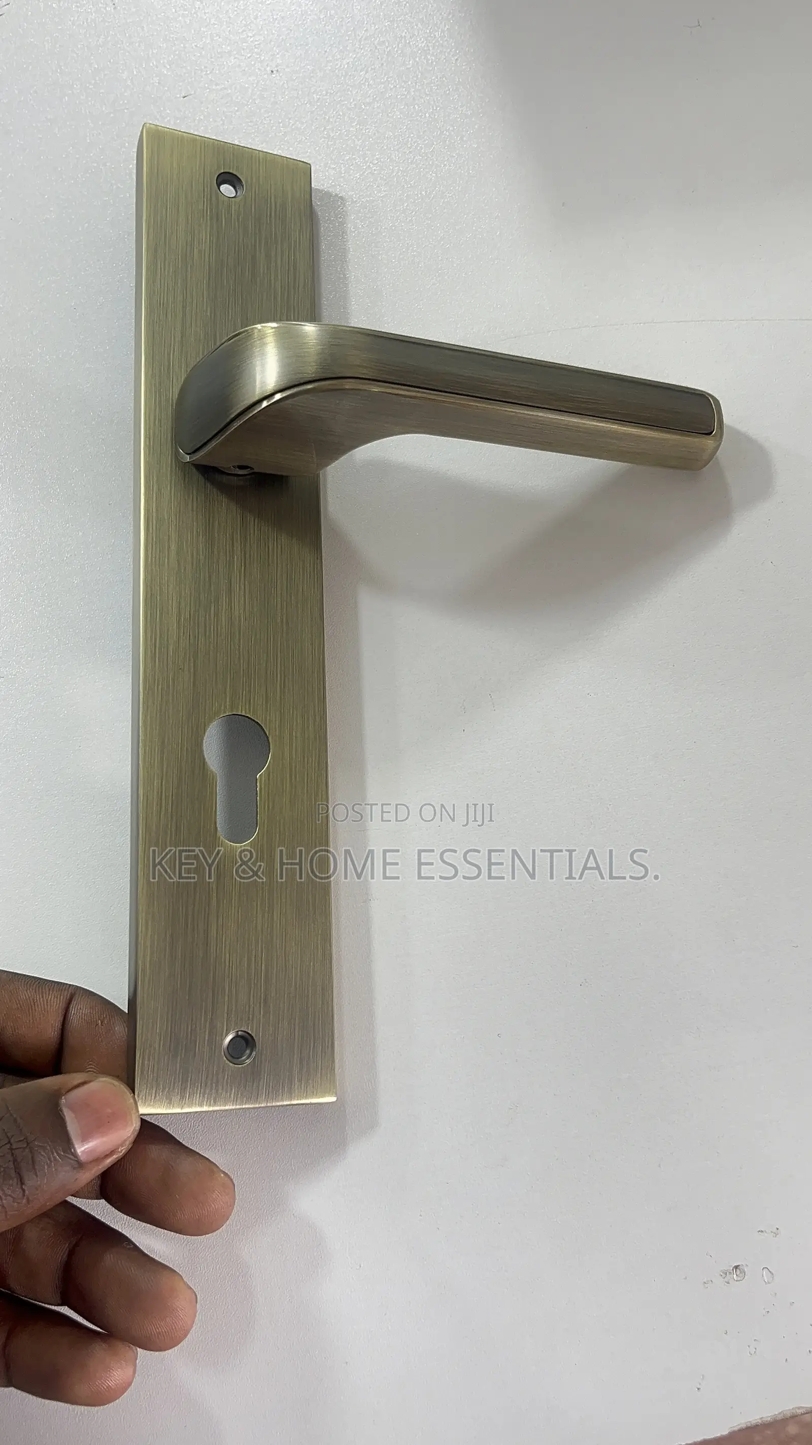Premium Antique Brass Door Ha
