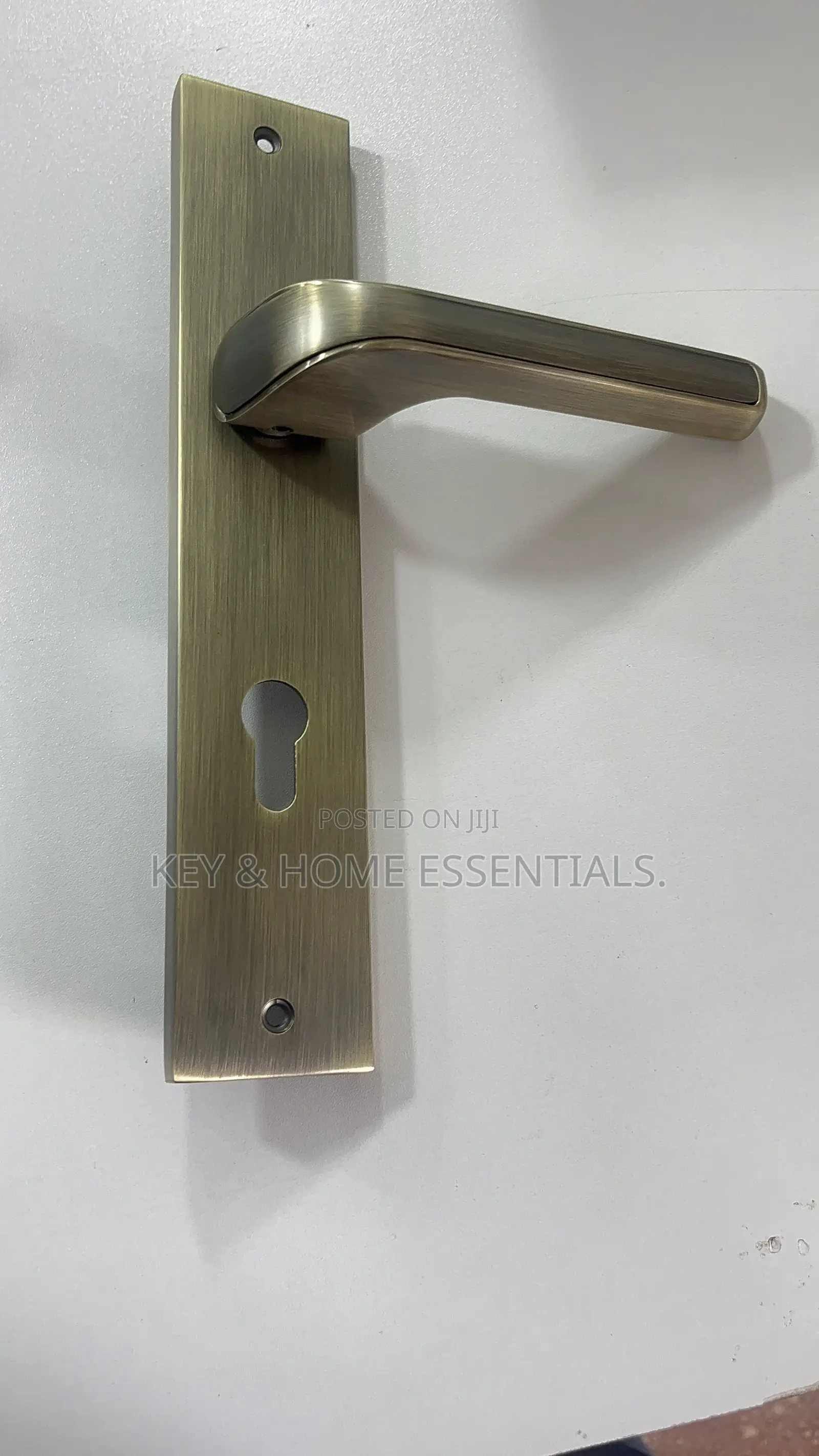 Premium Antique Brass Door Ha