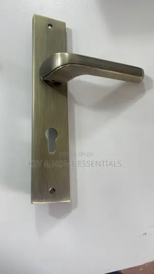 Premium Antique Brass Door Ha
