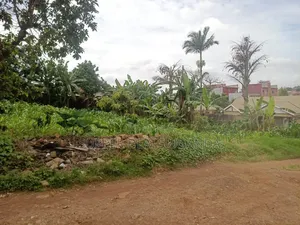 100by50ft Plot for Sale Located Kira