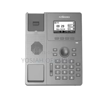 Flyingvoice P10