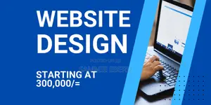 Website Design