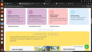 Website Design