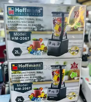 2l Hoffmans Hm-2067 Multifunctional Commercial Blender.