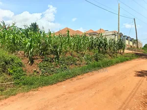 100by50ft Plot for Sale in Kyanja