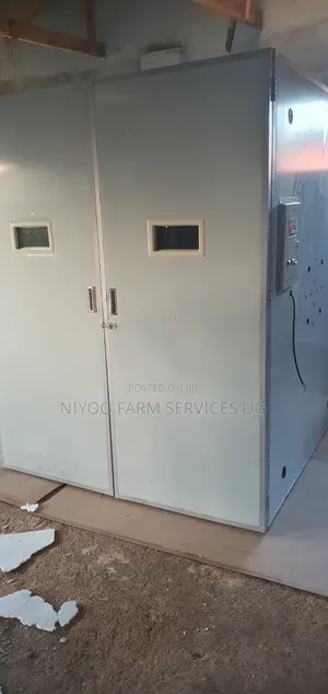 10000 Automatic Eggs Incubator