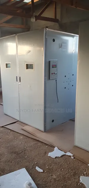 10000 Automatic Eggs Incubator