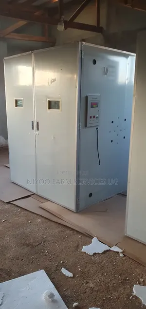 10000 Automatic Eggs Incubator