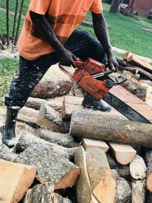 Trees Cutter