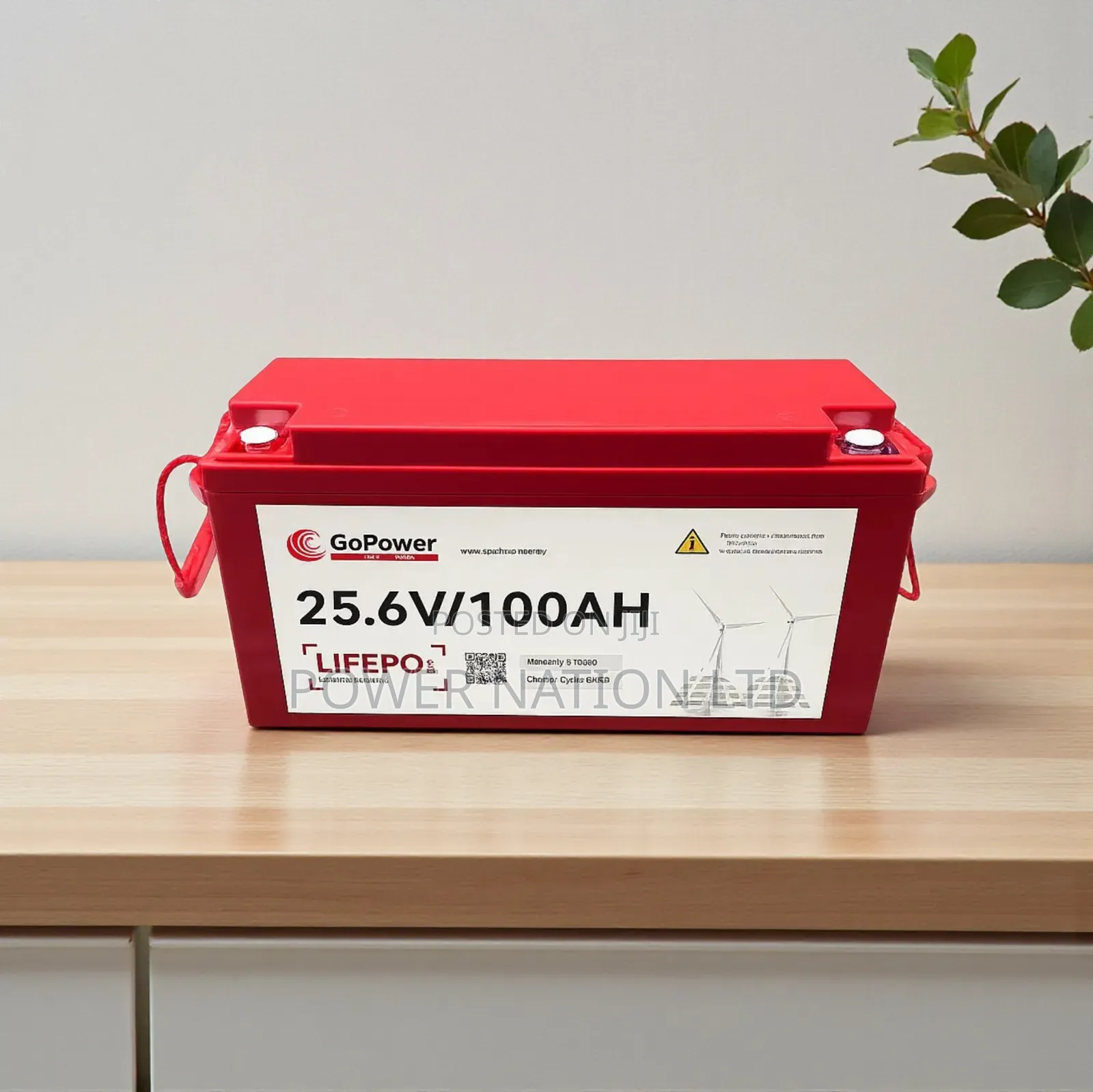100ah 24v Interstellar Gopower Lithium Battery