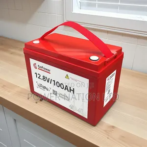 100ah 12v Moontyn Gopower Lithium Battery